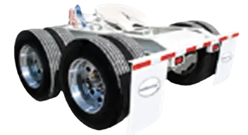 /dolly.webp